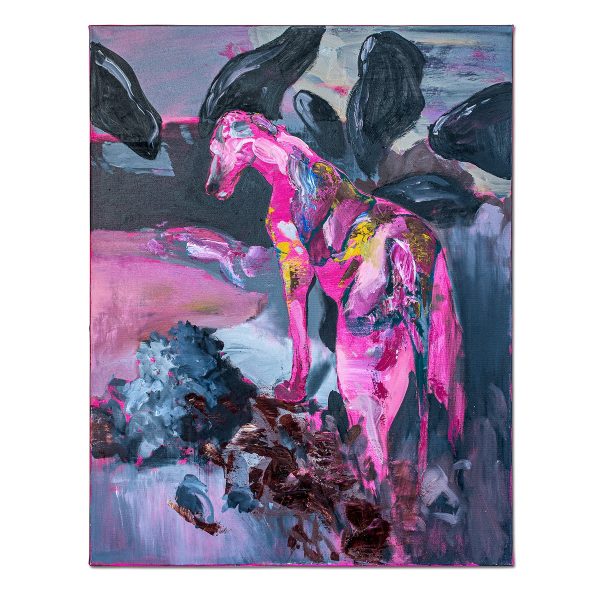 Pink dog-pictura-liviu-mihai