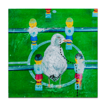 Seagulls cry-pictura-alex-miclos